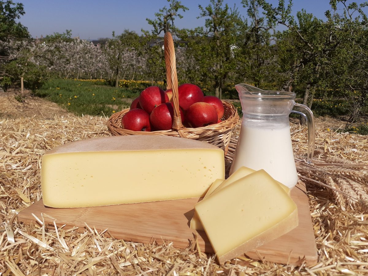 aufgeschnitter Laib Käse, eine Karaffe mit Milch und ein Korb voll mit roten Äpfeln